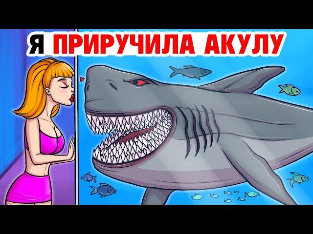 Я приручила свою акулу | Моя Анимированая История