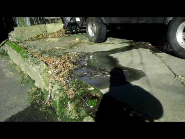 Broken Sewer Line  or Dickered Sewer Line.mp4