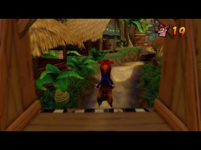 Crash Bandicoot 1 Hog Wild