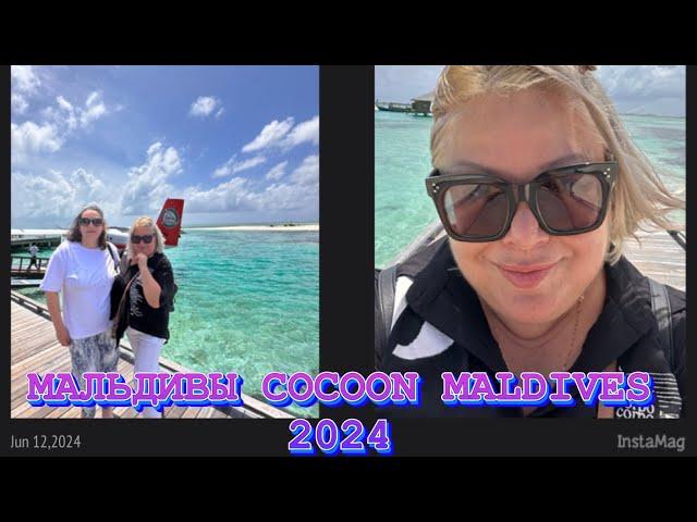 МАЛЬДИВЫ COCOON MALDIVES. ЗАСЕЛЯЕМСЯ НА BEACH VILLA И ОТМЕЧАЕМ ДЕНЬ РОЖДЕНИЕ!