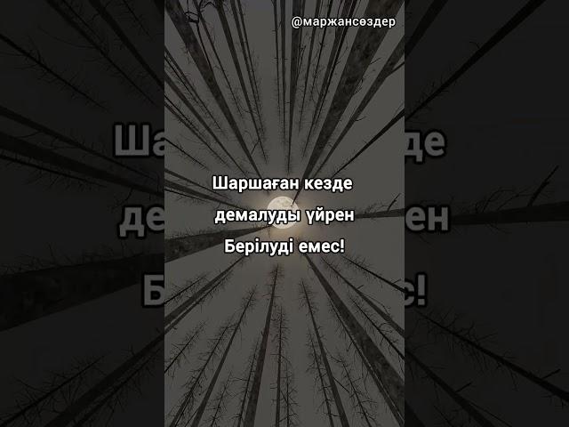 өз пікіріңізді жазыңыз! #аудиокнига #қанаттысөздер #нақылсөздер