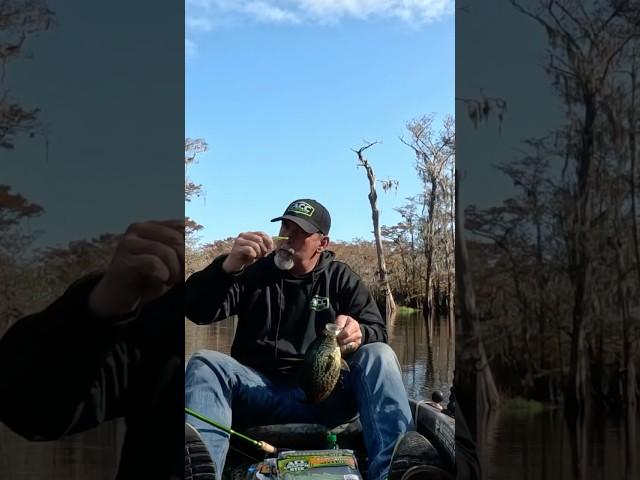  Stop Wasting Money on Crappie Baits!  #shorts