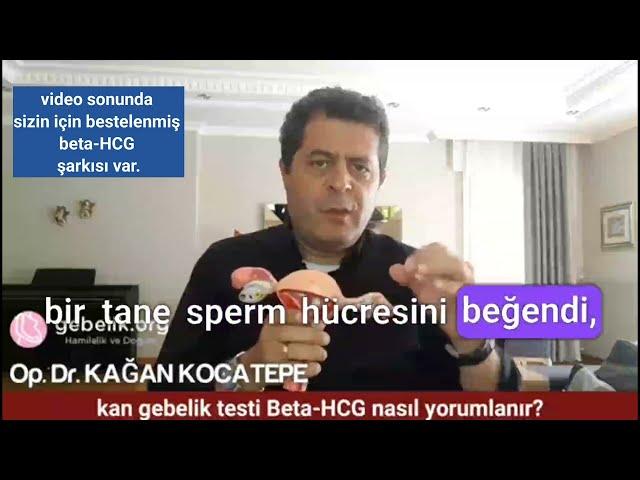 Beta HCG nasıl yorumlanır? Kanda gebelik testi kaç çıkarsa kesin gebelik vardır? Tekrarlanmalı mı?