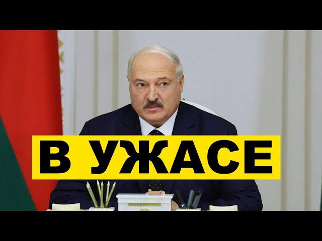 Что происходит за стенами президентского бункера?