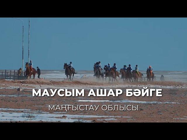 Бәйге 24.02.2024 Құланды ауылы. Маусым ашар