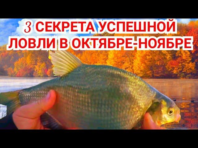 3 СЕКРЕТА УСПЕШНОЙ РЫБАЛКИ ПОЗДНЕЙ ОСЕНЬЮ!