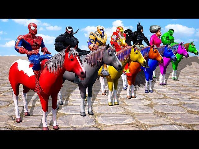 Team 5 Spider Man: Horse Racing Challenge with Scary Teacher vs Spiderman, Hulk, Iron Man, Batman