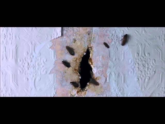 Бабадук (2015) Трейлер  (Фильм Ужасов)