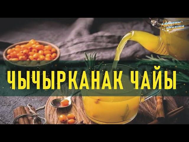 ЧЫЧЫРКАНАК чайынын ден соолукка пайдасы