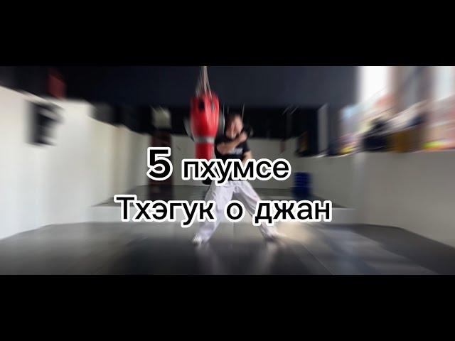 5 пхумсе. тхэгук о джан. (на 4 гып, синий пояс)