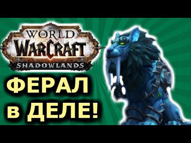 ВПЕРВЫЕ ФЕРАЛ Друид в Shadowlands! Shadowlands! WoW 9.0.2! ● РЭЙВИС