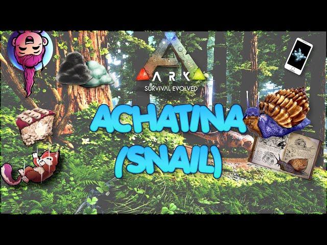 ACHATINA - Everything from Ark to Plant Species Z - Ep 2 - Ark Survival Evolved