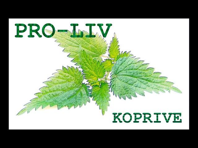 Pro-liv - Koprive