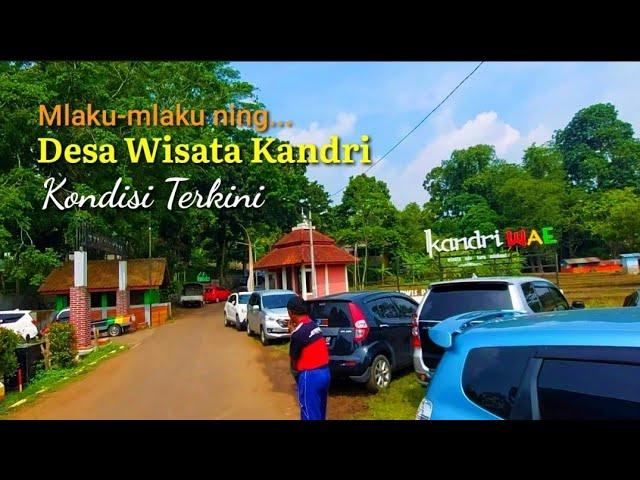 DESA WISATA KANDRI | KONDISI TERKINI SENDANG GEDE