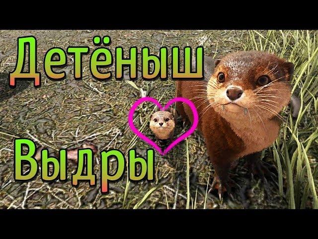 ARK Survival Evolved на карте Ragnarok - Приручение, спаривание и выращивание выдры - (18)