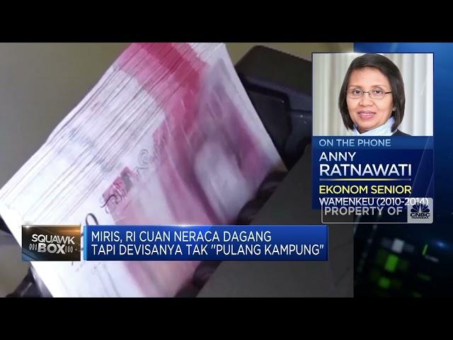 Miris, RI Cuan Neraca Dagang Tapi Devisanya Tak "Pulang Kampung"