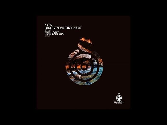 NAHS - Birds In Mount Zion (Original Mix)