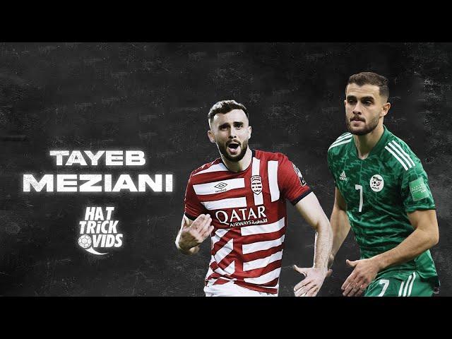 Tayeb Meziani | Goals & Assists - Highlights | 2024