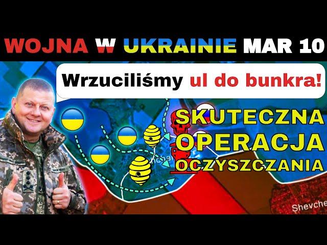 10 MAR: NIEWIARYGODNE: Ukraińcy OCZYŚCILI Bunkier PSZCZOŁAMI! | Wojna w Ukrainie Wyjaśniona