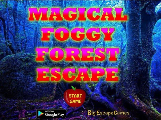 magical foggy forest escape video walkthrough