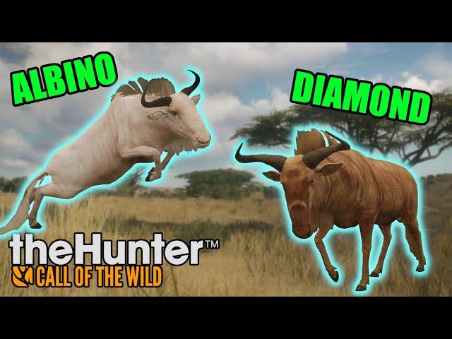 They walked RIGHT into my hands | theHunter: Call of the Wild - Vurhonga Savanna Reserve