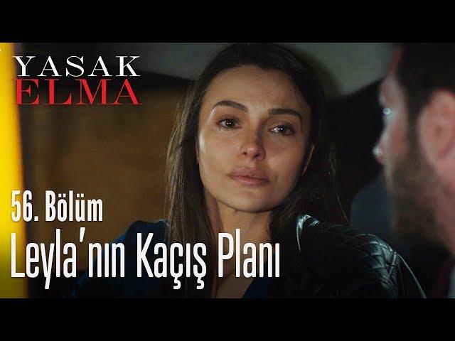 Leyla kocasından nasıl kaçıyor? - Yasak Elma 56. Bölüm