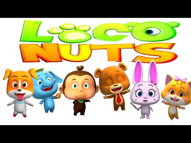 Loco Nuts Characters Introduction intro