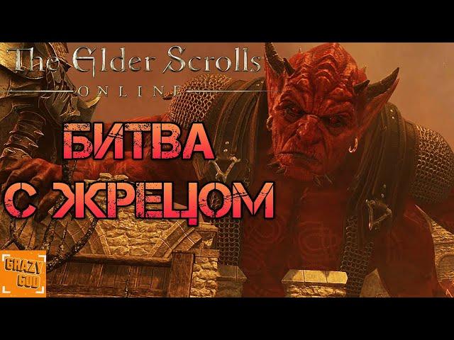 БИТВА С ЖРЕЦОМ ► Прохождение The Elder Scrolls Online - Blackwood (Чёрный лес) #9