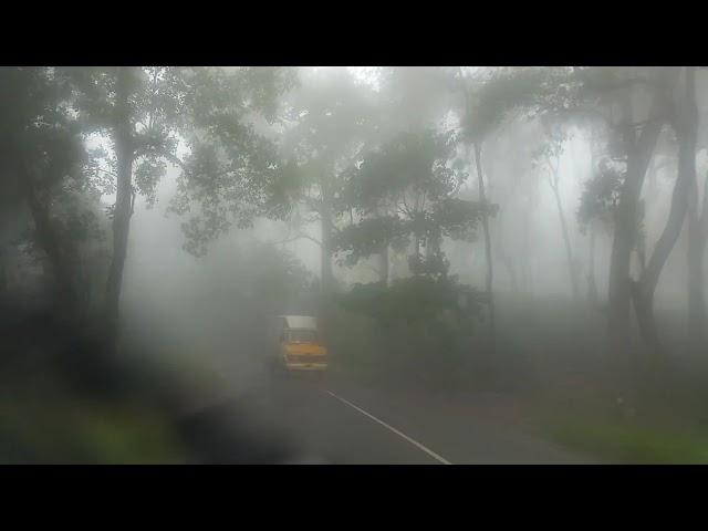 Mystic paths in Kerala.