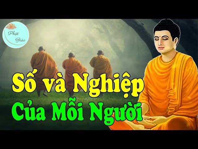 Mỗi Người Sinh Ra Đều Có Số Mệnh và Nghiệp Lực Khác Nhau Biết Cách Tu Sẽ Thay Đổi Được Vận Mệnh