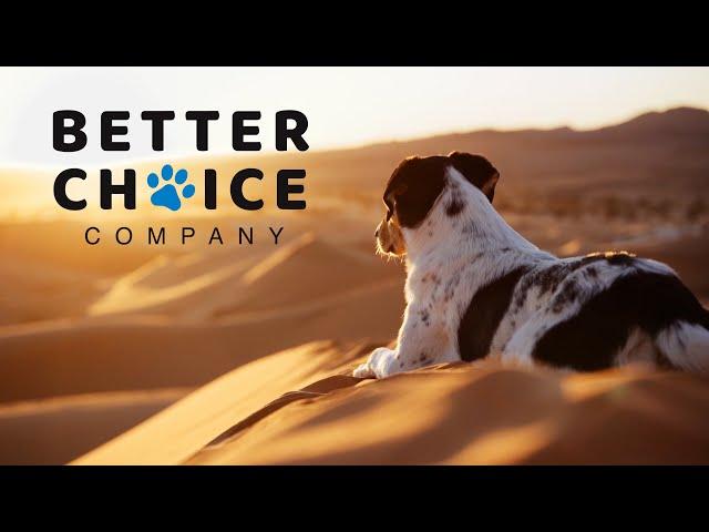 Better Choice Company -  Rob Sauermann