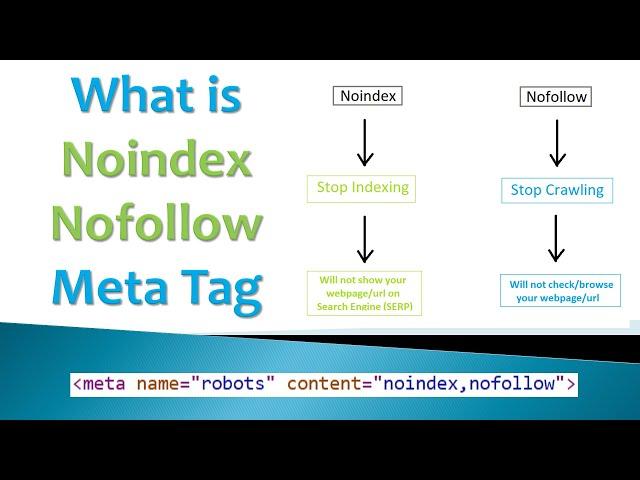 What is Noindex Nofollow Meta Tag in SEO | A Complete Guide