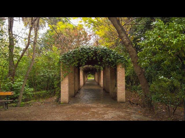#185 Relaxing Athens National Garden Rain Walk | Ambience Sounds for Relax, Study, Sleep