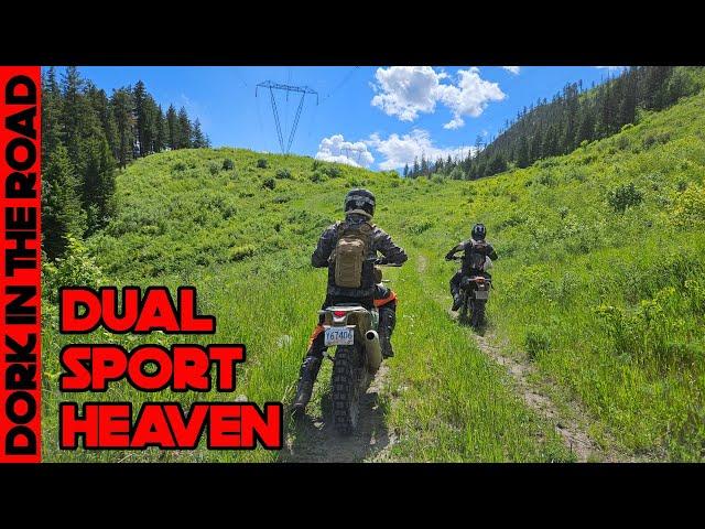 Riding a Honda CRF300L in the BC Backcountry: 5 Days on (Mostly) Dirt Bikes in Canada, Day 4