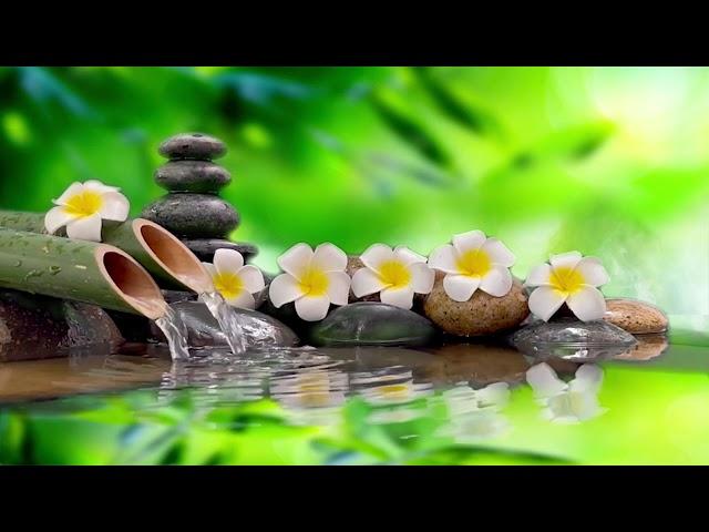 Relaxing Music 24/7, Stress Relief Music, Sleep Music, Meditation Music, Study, Flowing River