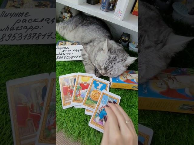 Что говорят за моей спиной??