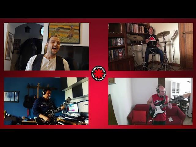 PepperHeads Aeroplane RHCP Cover Quarantine version