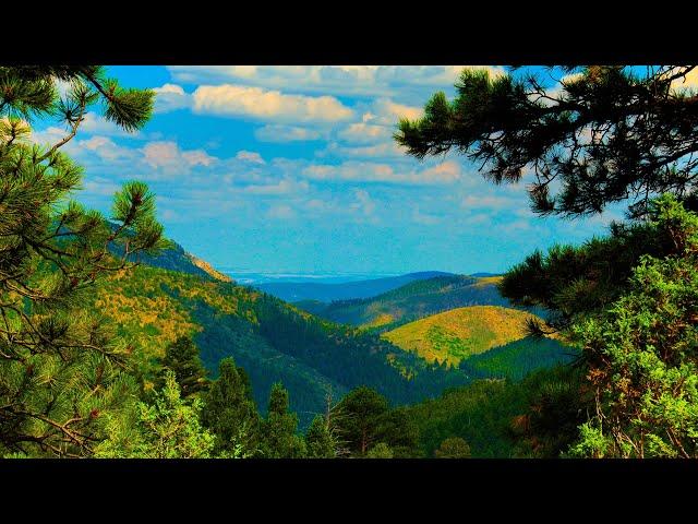 Static Nature Scene 4K UHD (No Sound) — Colorado Mountain View Background Video