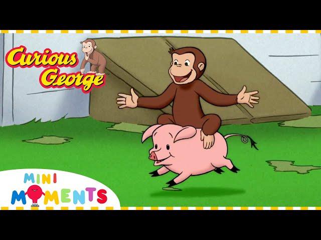 George the Farmer! ‍ | Curious George | 1 Hour Compilation | Mini Moments