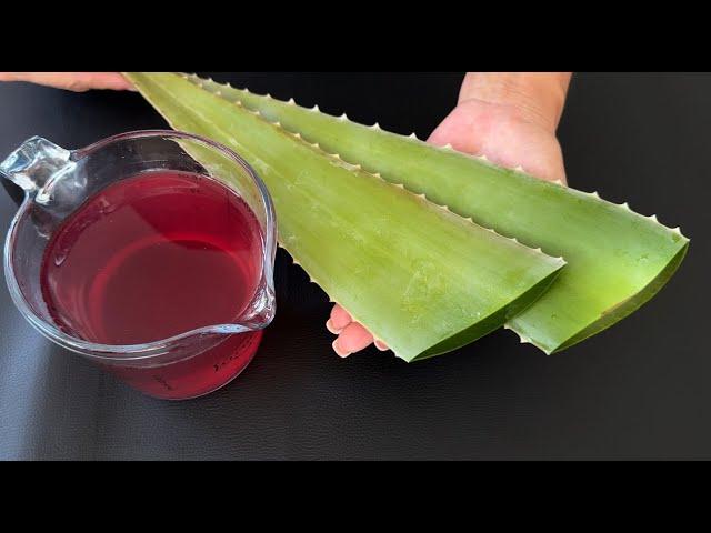 My grandmother looks 35 at 67. The best natural collagen Aloe Vera