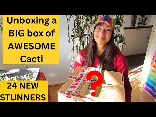 Unboxing a BIG box of AWESOME Cacti - 24 NEW STUNNERS #cactus #cacti