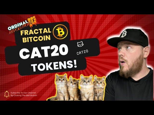 Cat20 Tokens on Fractal are poised to be the next 100X opportunity