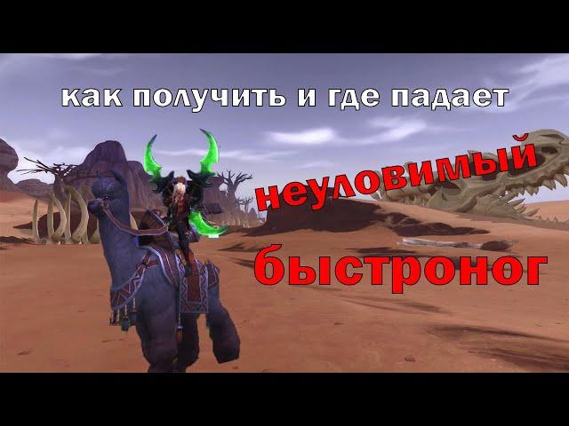 Неуловимый быстроног как получить и где падает WoW