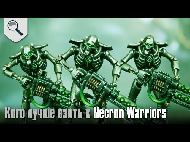 Кого лучше взять к Necron Warriors