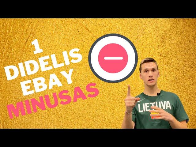 DIDELIS minusas prekiaujant eBay šiuo metu. O gal tai ne tik eBay kaltė?  | #eBay 77 #PayPal 7