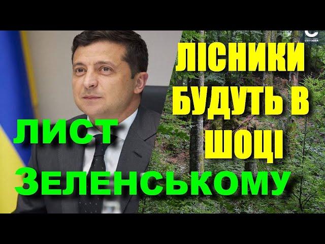 The president will allow Ukrainians to collect firewood in the forest without any permission