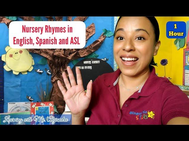 Learn numbers, colors, songs and more in English, Spanish, and ASL with Ms. Alejandra