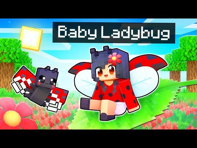 The Luckiest Baby LADYBUG In Minecraft!