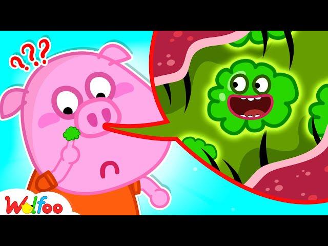 Why Are There Boogers in the Nose? - Wolfoo Educational Videos for Kids  @WolfooCanadaKidsCartoon