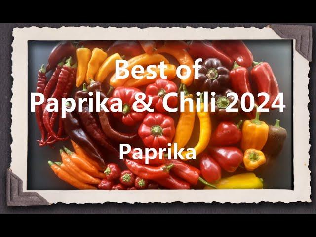 Best of Paprika & Chili 2024 - Paprika